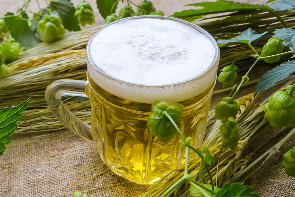 A pint of gruit beer.